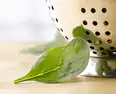 Fresh Spinach